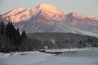 IMG_3788.jpg