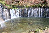 IMG_5302.jpg