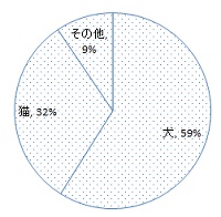 5555.jpg