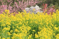 IMG_3235.JPG