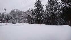 DSC_0135.JPG