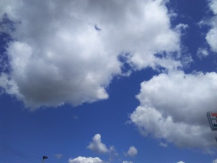 DSC_5585.JPG