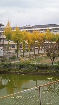 2011110315190000.jpg
