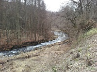010.jpg