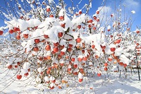 IMG_0407.JPG