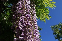IMG_8005.jpg