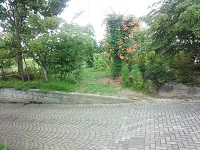 002.jpg