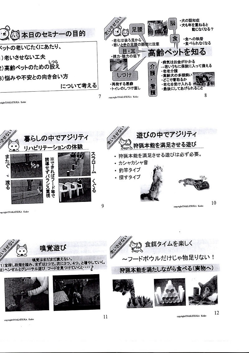 EPSON010.JPG