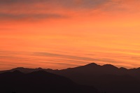 IMG_7635.JPG