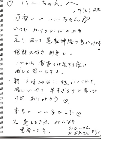 2000.jpg