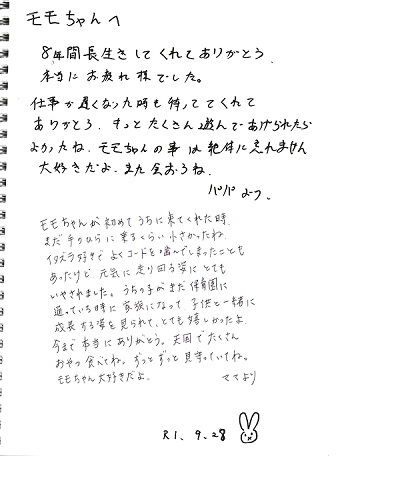 1000.jpg
