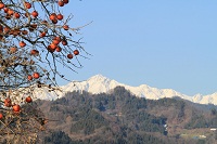 IMG_0161.jpg