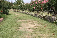 IMG_8144.jpg