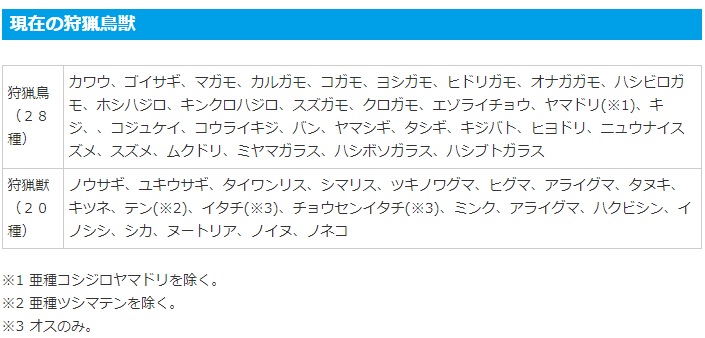 .jpg