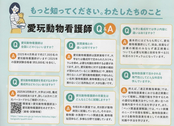 .jpg