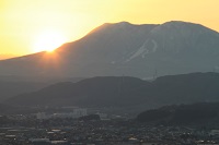 IMG_2526.jpg
