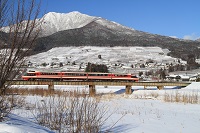 IMG_1486.jpg