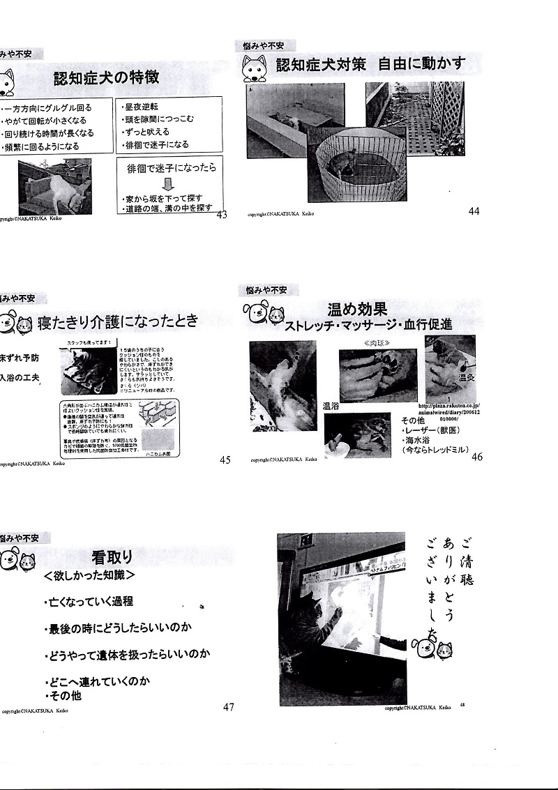 EPSON015.JPG