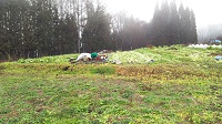 059.JPG