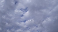 DSC_0038.JPG