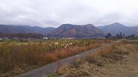 DSC_0208.JPG
