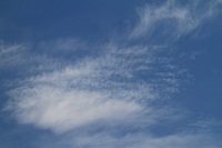 IMG_7241.jpg