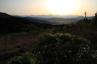 IMG_8048.jpg