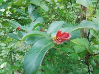 DSC_0047.jpg