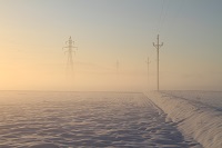 IMG_4444.JPG