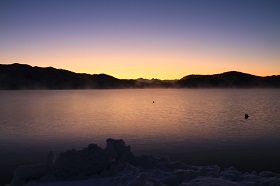 IMG_7118.JPG
