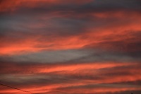 IMG_6110.jpg