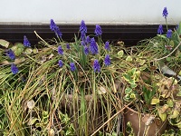 IMG_1476.JPG