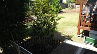 DSC_0030.JPG