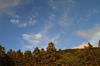IMG_6699.JPG