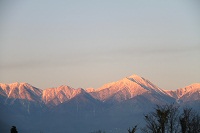 IMG_2692.jpg