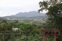 IMG_8416.JPG
