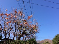 IMG_1170.JPG