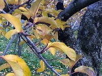 image1.JPG