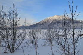 IMG_1228.JPG